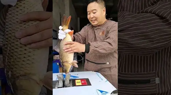 فیلم/ دستگاه تمام اتوماتیک تمیز کننده ماهی؛ ساخت چین! 