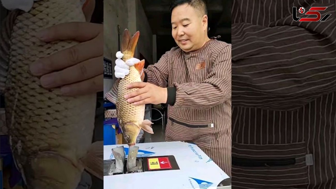 فیلم/ دستگاه تمام اتوماتیک تمیز کننده ماهی؛ ساخت چین! 