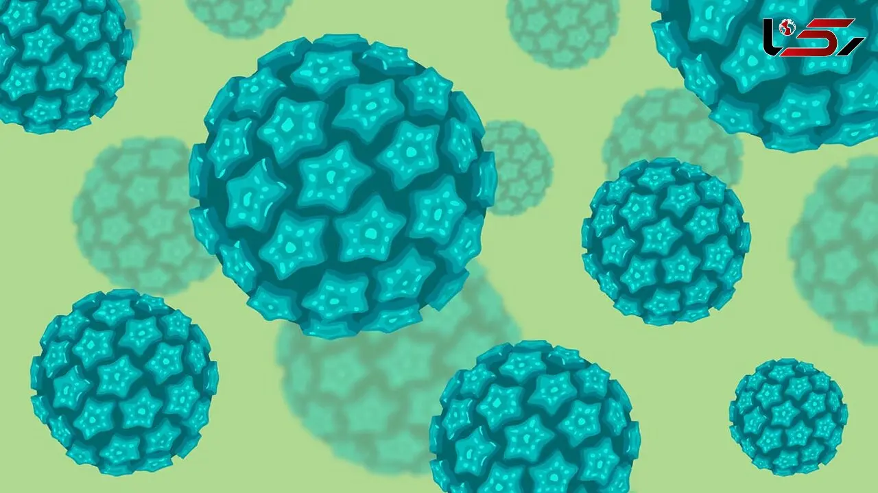 HPV چگونه از بین می رود؟