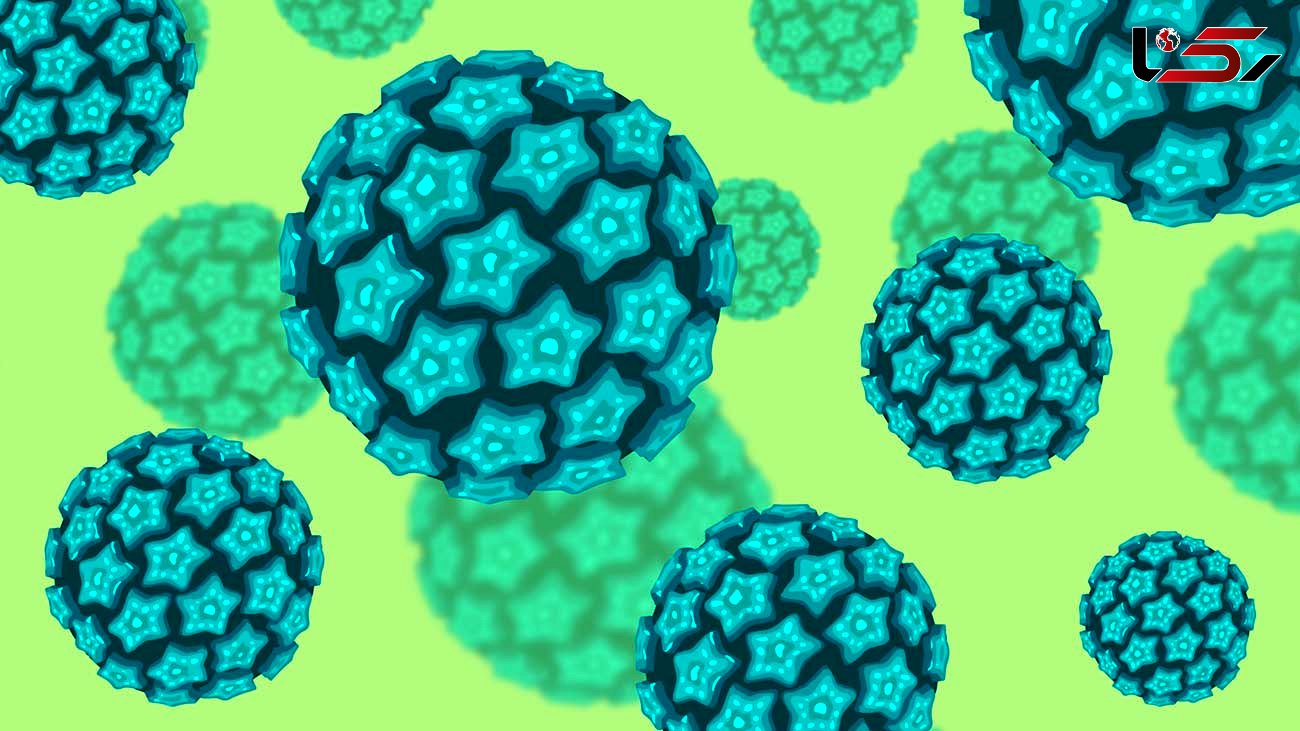 HPV چگونه از بین می رود؟