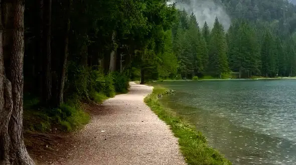 خودتان اولویت زندگی خودتان باشید