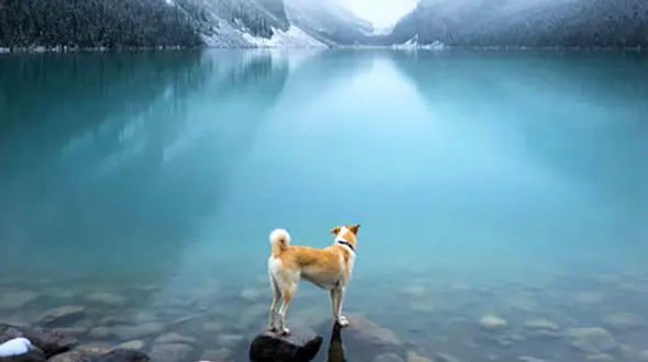 تصاویری خیره کننده از بهترین و زیباترین مناطق گردشگری جهان+ تصاویر