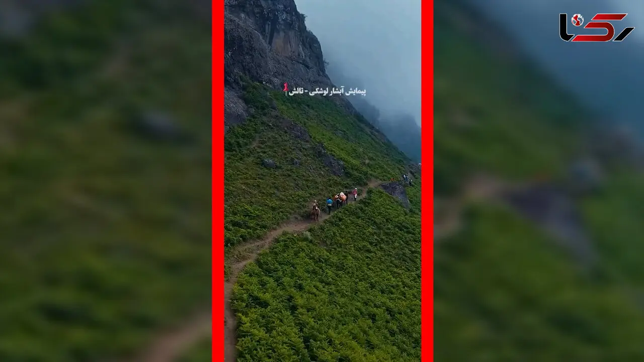 فیلم پیاده روی در مسیر باریک تالش گیلان