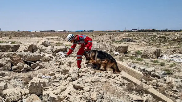 سگ های جست و جوی هلال احمر؛ قهرمانان بی کلام + فیلم