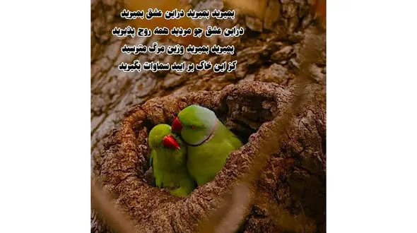 فال ابجد محشر 29 اردیبهشت + فیلم