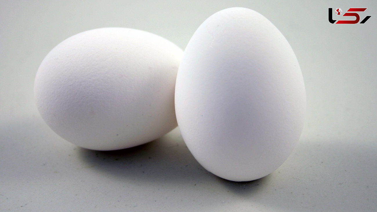 آخرین قیمت تخم مرغ در میادین میوه و تره بار