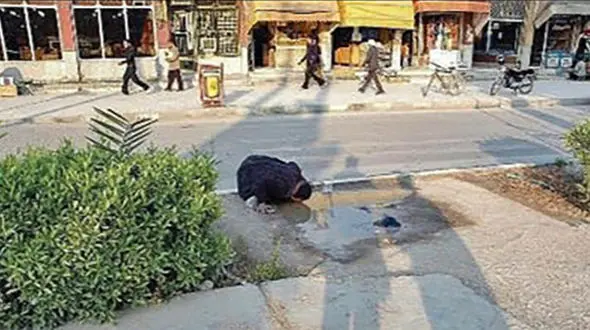 پشت پرده عکس زن تشنه خوزستانی + عکس