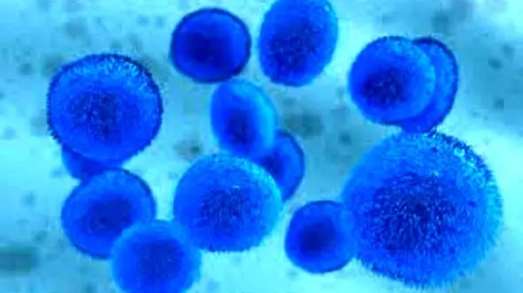 درمان قطع نخاع امکان پذیر شد