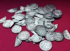 کشف گنج عباسی‌ ها در اروپا / 59 سکه نقره اسلامی در منطقه بالتیک پیدا شد + عکس