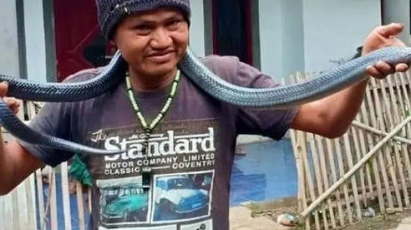 کشته شدن فجیع مرد ۴۲ ساله بر اثر حمله مار پیتون+ عکس