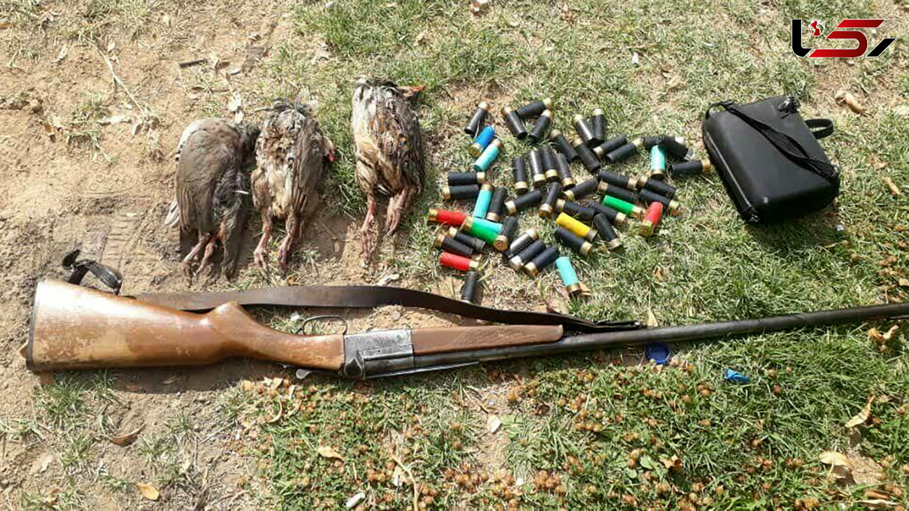 تیر بی هدف شکارچیان غیرمجاز در مازندران
