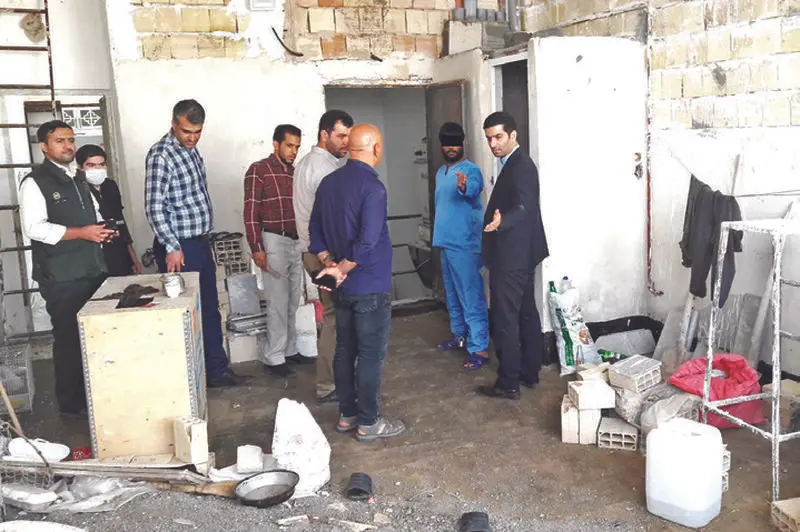 برادرکشی (1)