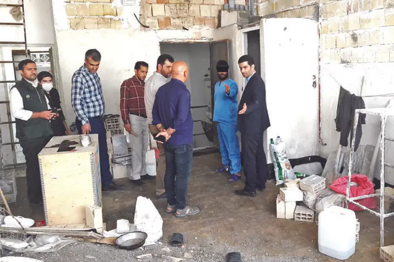 برادرکشی (1)