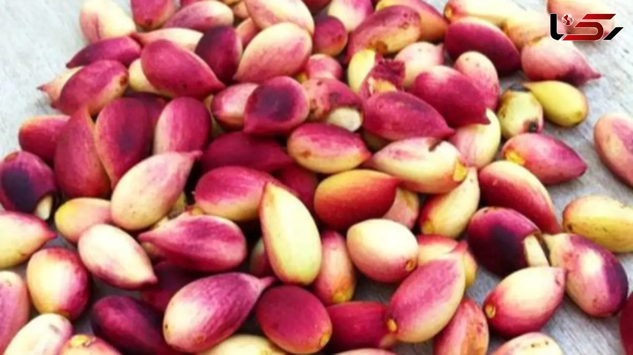 فواید پسته برای دیابتی‌ ها: چرا شب‌ ها زمان طلایی مصرف آن است؟