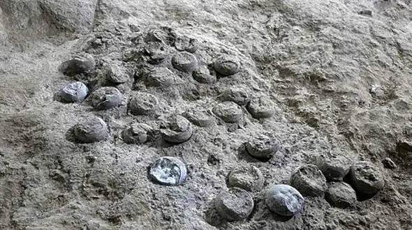 مستندی حیرت‌ انگیز از راز بزرگ 85 میلیون‌ ساله و تاثیر آن بر آب و هوای زمین!