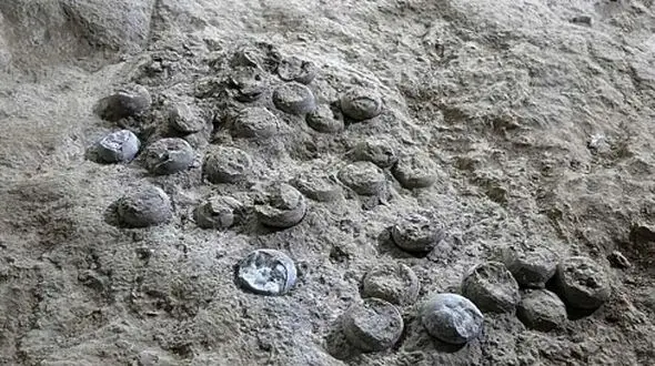 مستندی حیرت‌ انگیز از راز بزرگ 85 میلیون‌ ساله و تاثیر آن بر آب و هوای زمین!