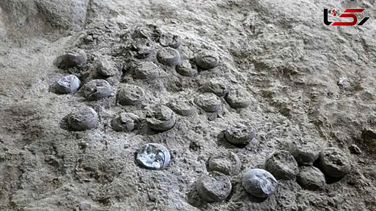 مستندی حیرت‌ انگیز از راز بزرگ 85 میلیون‌ ساله و تاثیر آن بر آب و هوای زمین!