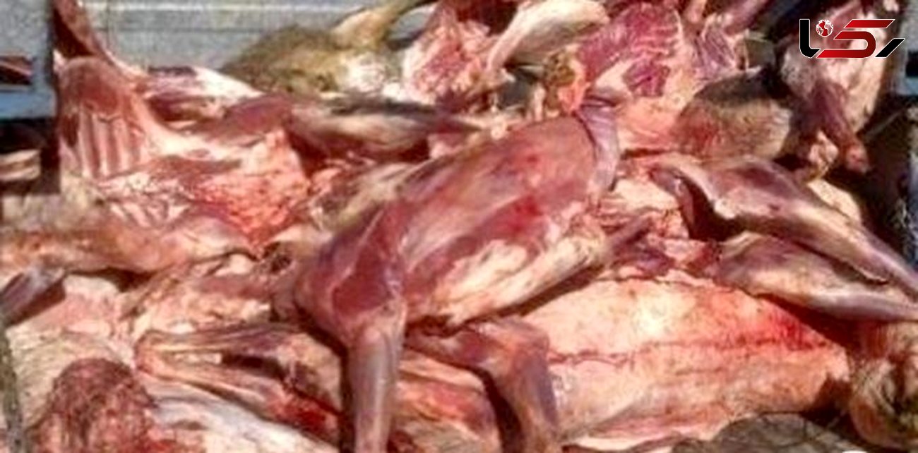 کشف ۵۵ تن فرآورده گوشتی غیر بهداشتی در تبریز