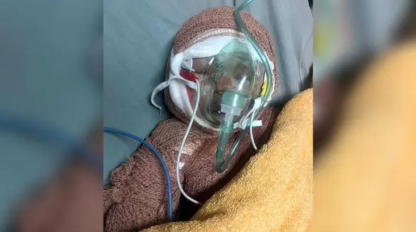 برادر رایان قاسمیان «شهید دو ماهه» هم شهید شد + فیلم جگرسوز 