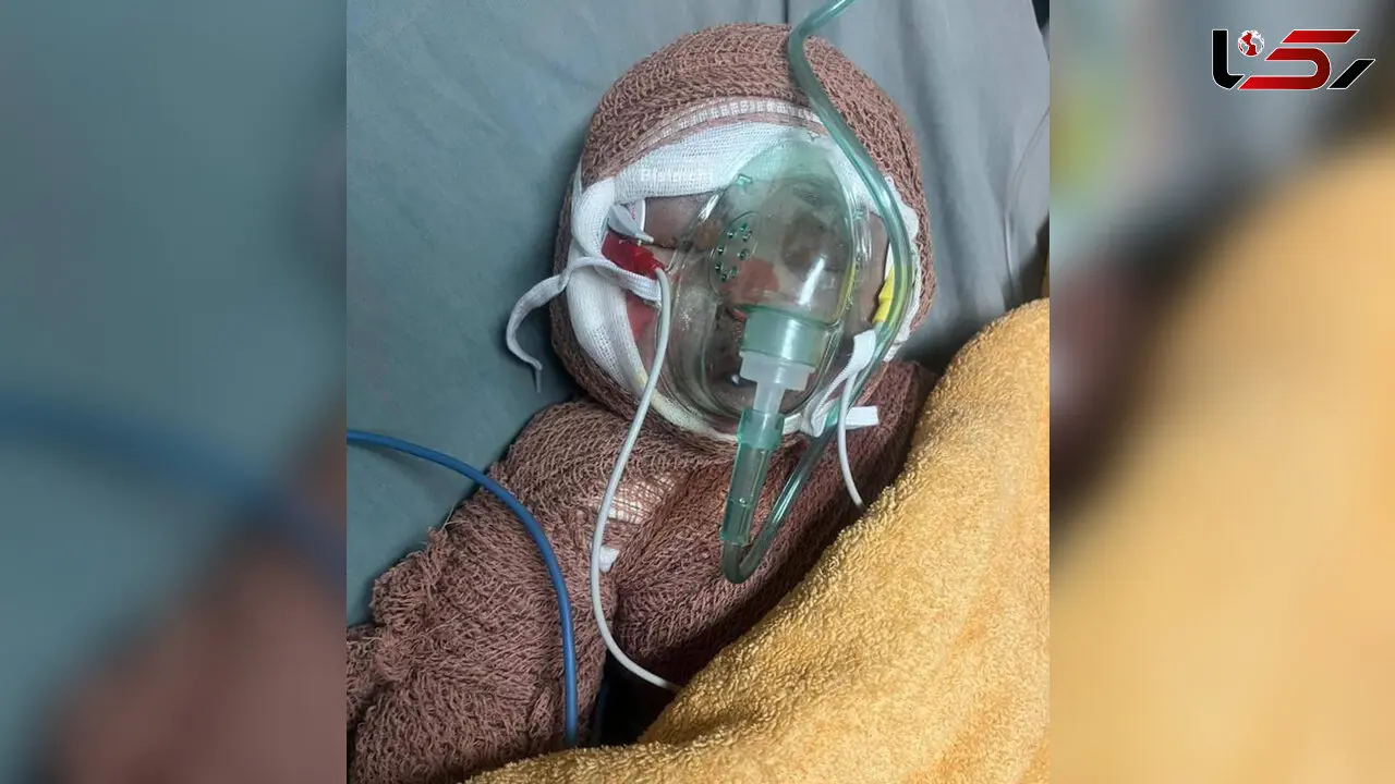 نجات معجزه‌آسای پدربزرگ رایان قاسمیان در حمله مرگبار + فیلم 