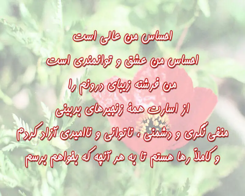 مثبتی