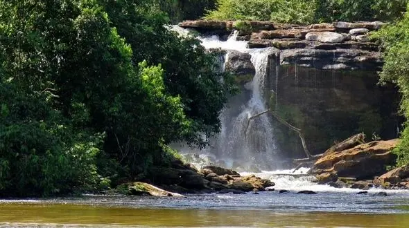 کشف طلایی‌ترین ماهی دنیا + عکس