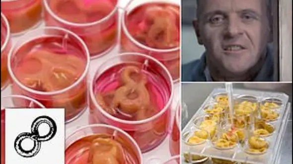  تولید عجیب استیک گوشت انسان+عکس