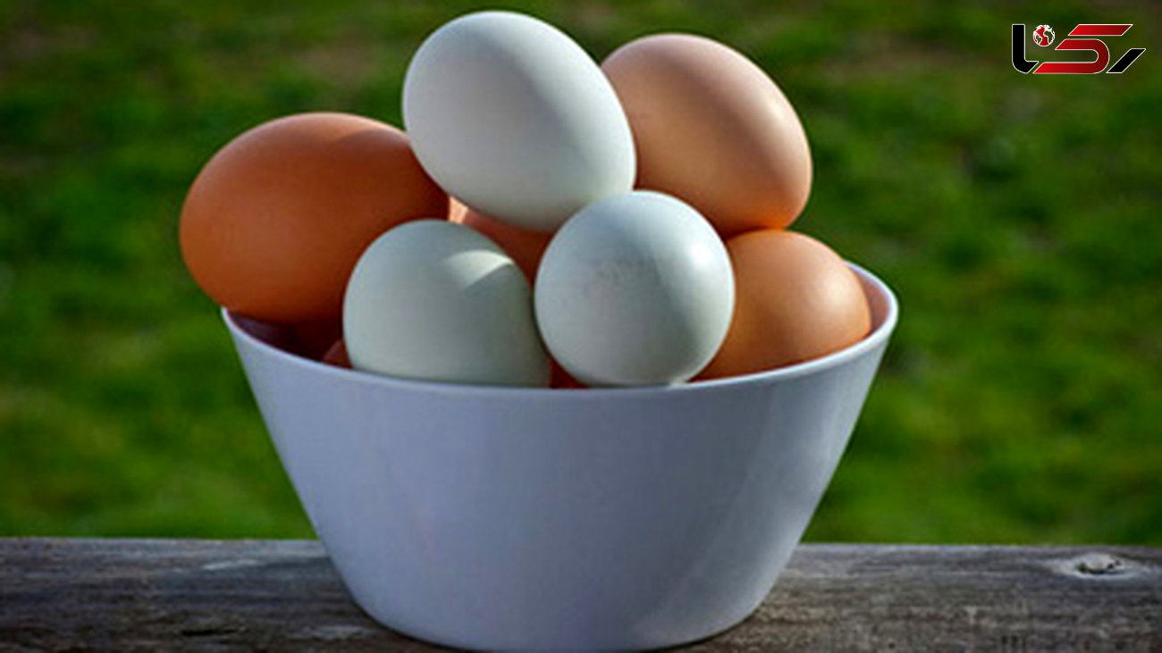 روش های تشخیص تخم مرغ سالم 