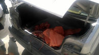 جریمه جایگزین حبس برای حمل غیربهداشتی گوشت قرمز در صندوق عقب پراید