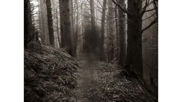 سرنوشت شوم پسر 7 ساله در بیابان های مشهد 