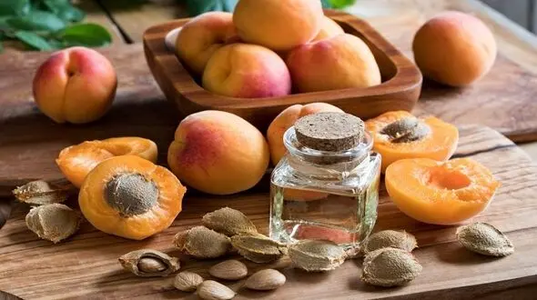 مهار سلول های سرطانی با هسته این میوه پرخاصیت