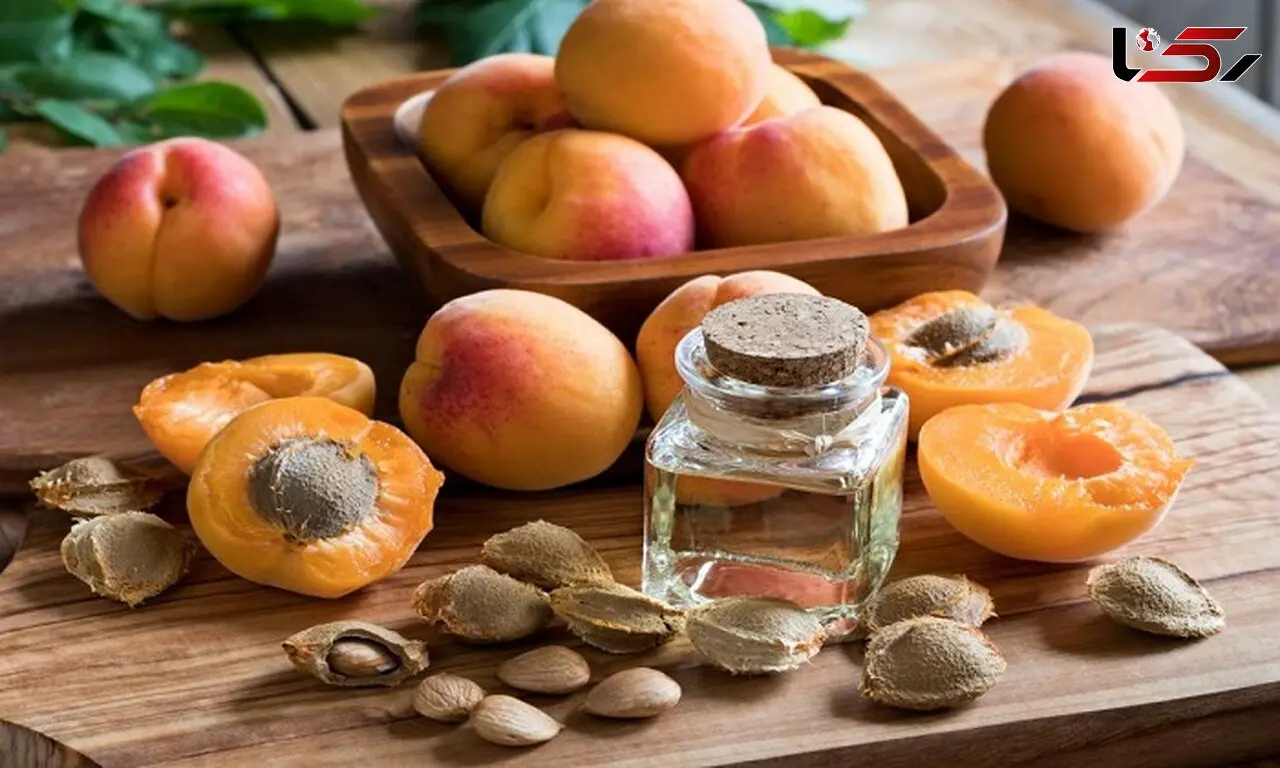 مهار سلول های سرطانی با هسته این میوه پرخاصیت