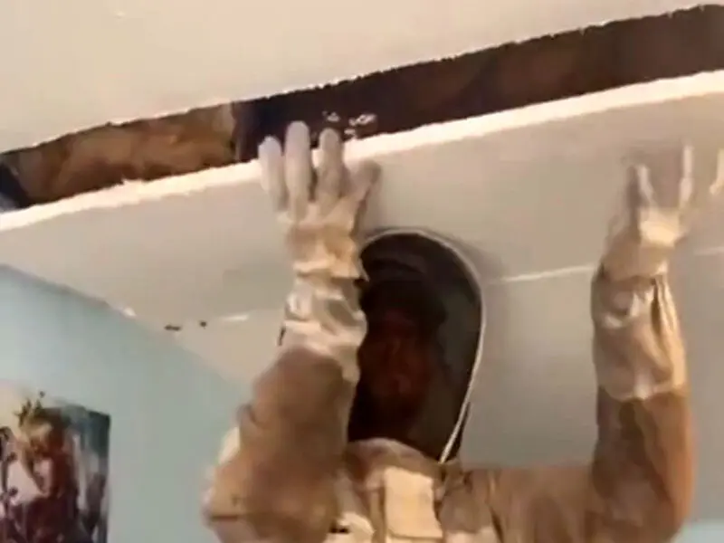کندوی زنبور عسل
