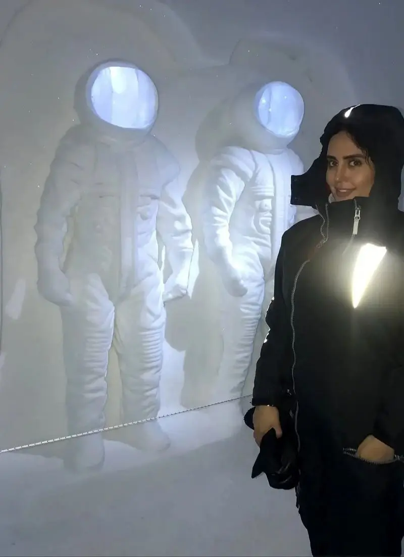 elnazshakerdoost_1514897376_1683403664548845563_279803529