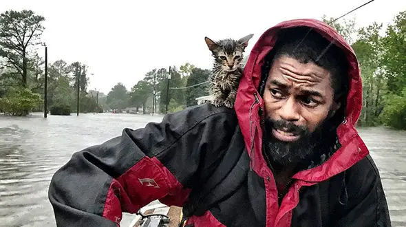 فیلم دیده نشده از طوفان هولناک فلورانس+ تصویر