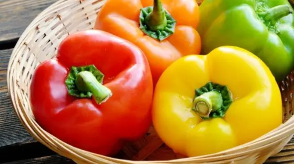 چرا باید هر روز فلفل دلمه‌ ای بخوریم؟ فواید بی‌ نظیر این سبزی