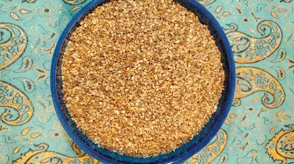 قوی تر از شیر چیست؟