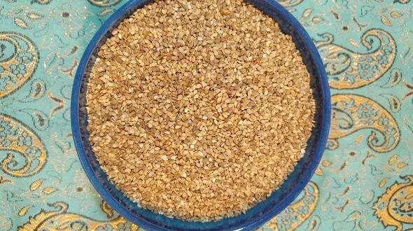 قوی تر از شیر چیست؟