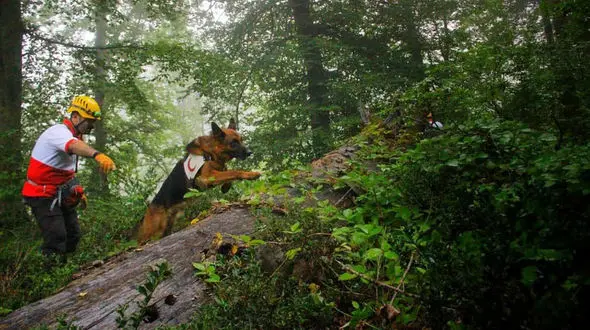 پیدا شدن جوان گمشده با دست و پای شکسته در جنگل های کلاردشت 
