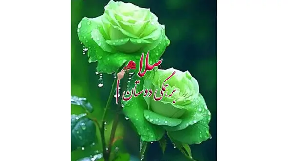 فال و طالع بینی 12 خرداد + فیلم