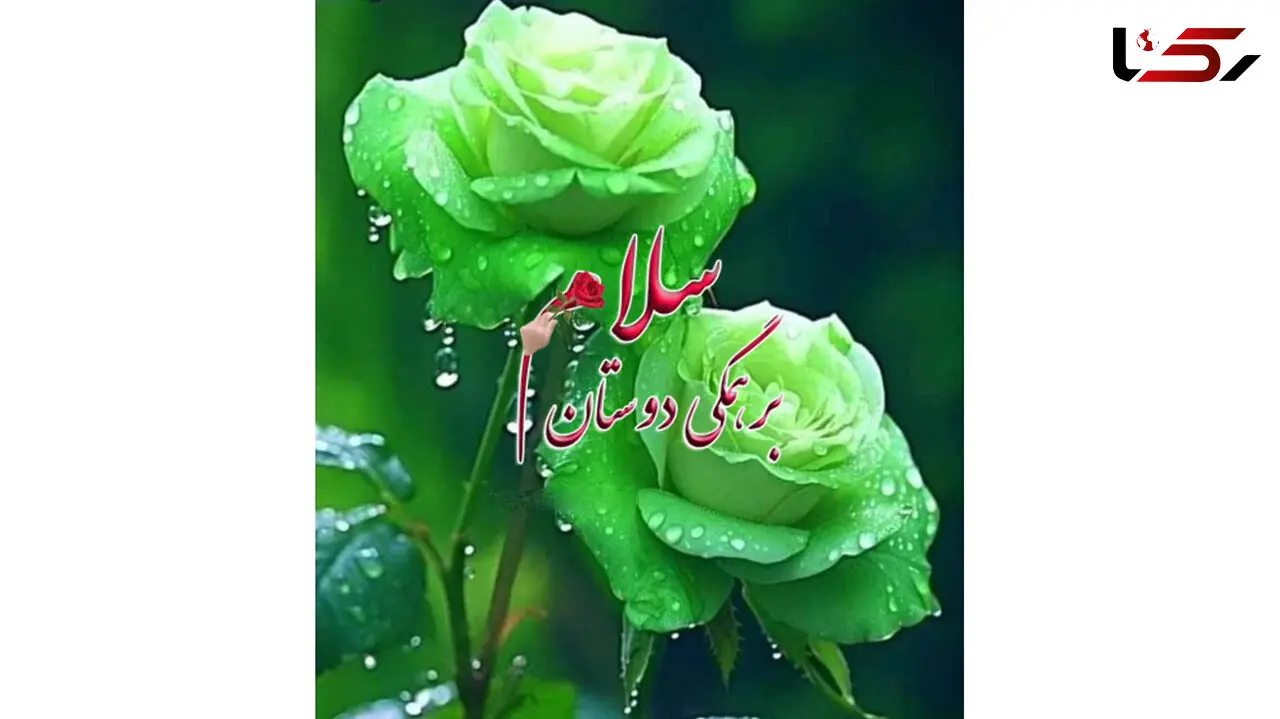 فال و طالع بینی 12 خرداد + فیلم