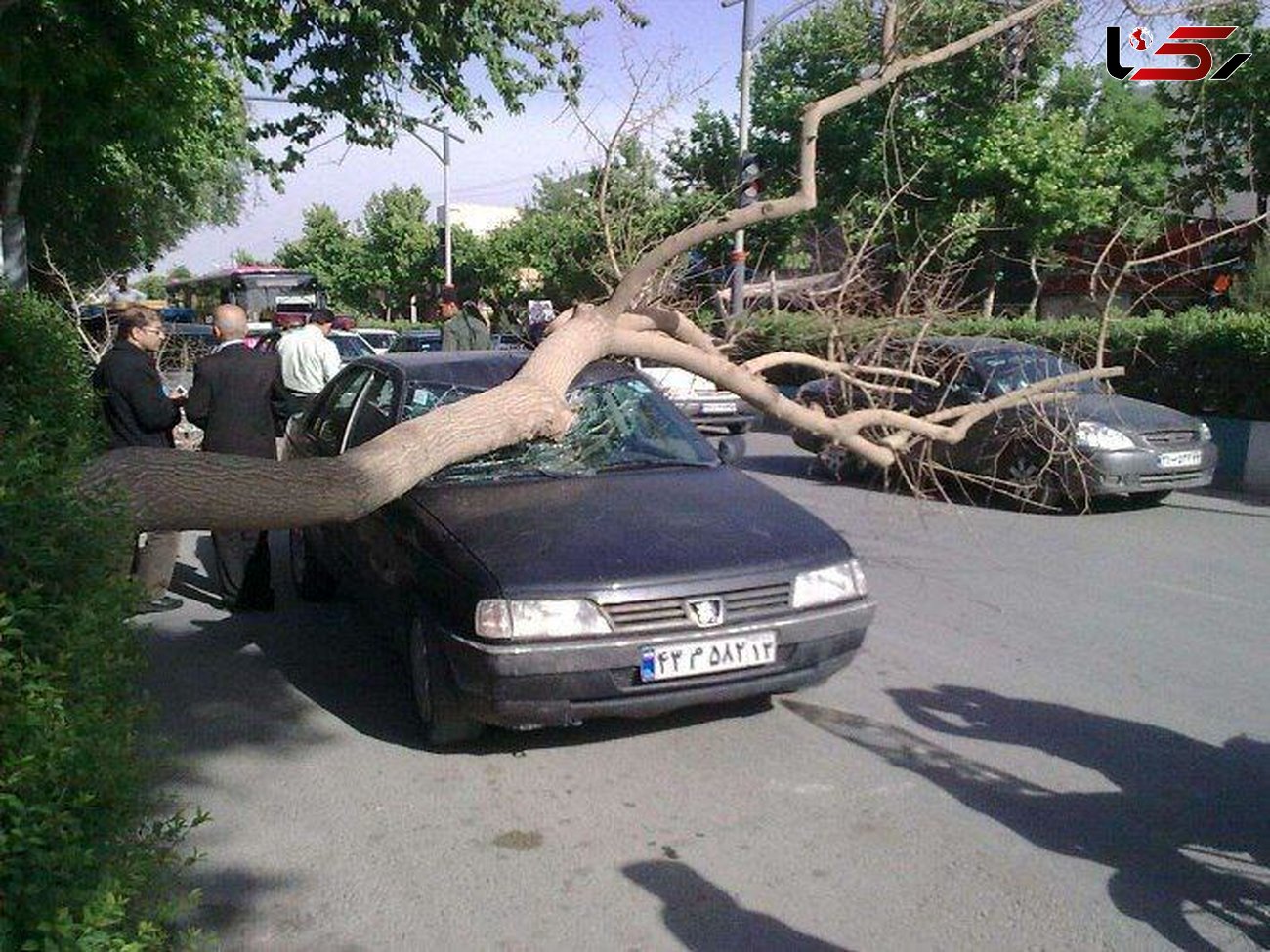 باد شدید 7 میلیارد ریال به استان اصفهان خسارت زد
