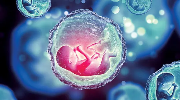 این کیسه آب با ارزش را بشناسید