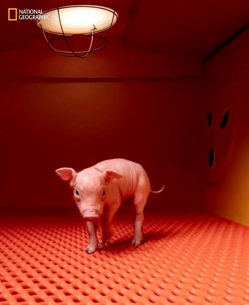 تصاویر نشنال جئوگرافیک