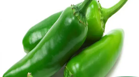 خوراکی های خنک کننده بدن در تابستان 