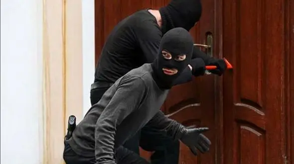 فیلم/ داستان۶ تا از احمق ترین دزدها را بشنوید 