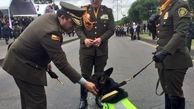 مافیای کلمبیا برای کشتن سگ پلیس 7 هزار دلار جایزه گذاشت