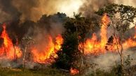 آتش سوزی بزرگ در منطقه جنگلی در خداآفرین 