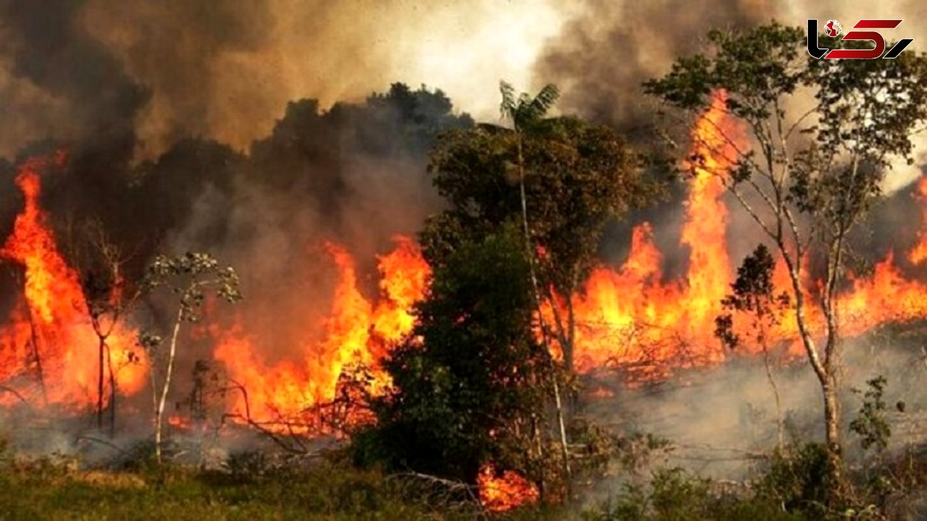 آتش سوزی بزرگ در منطقه جنگلی در خداآفرین 
