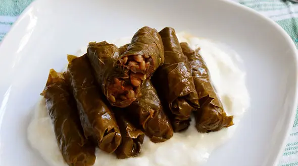 انواع غذاها با برگ مو